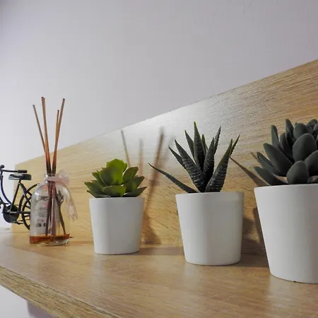 Apartment Art House