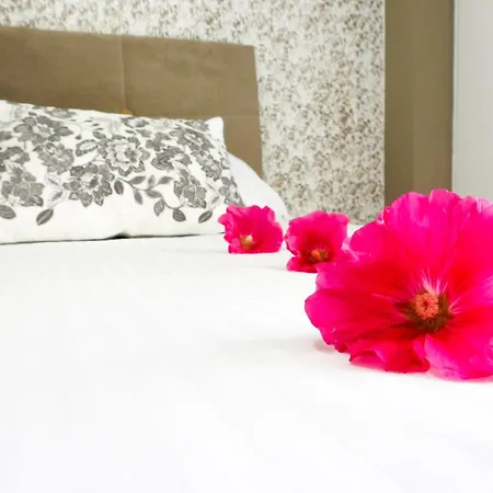 Apartament Art House